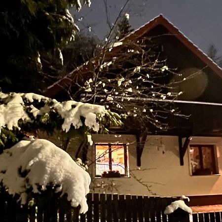 Willa Dom Puchacza W Ladku-Zdroju Lądek-Zdrój Zewnętrze zdjęcie