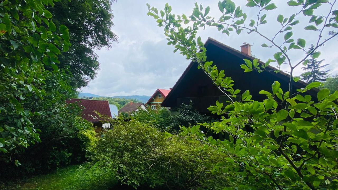 Willa Dom Puchacza W Ladku-Zdroju Lądek-Zdrój Zewnętrze zdjęcie
