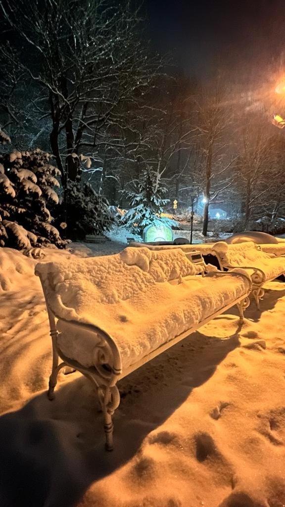 Willa Dom Puchacza W Ladku-Zdroju Lądek-Zdrój Zewnętrze zdjęcie