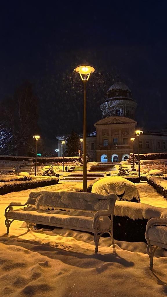Willa Dom Puchacza W Ladku-Zdroju Lądek-Zdrój Zewnętrze zdjęcie